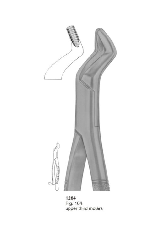 Upper Third Molars