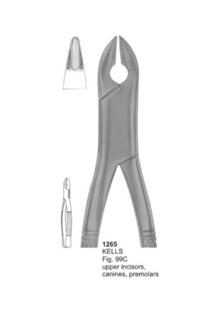 KELLS, Upper Incisors, Canines, Premolars