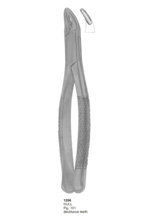 HULL Deciduous Teeth