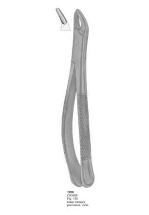 CRYER, Lower Incisors, Premolars, Roots
