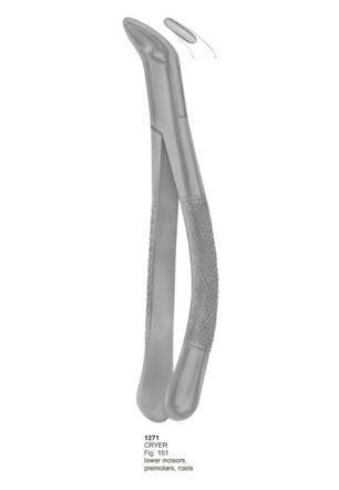CRYER, Lower Incisors, Premolars, Roots