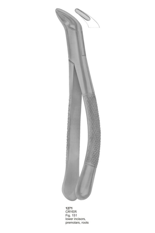 CRYER, Lower Incisors, Premolars, Roots