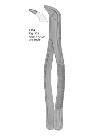 Lower Incisors and Roots