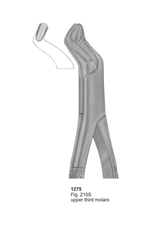 Upper Third Molars