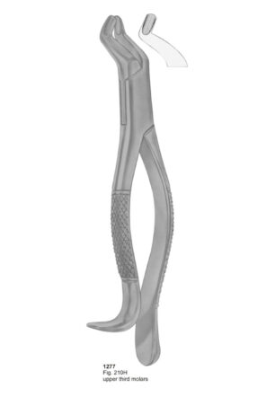 Upper Third Molars