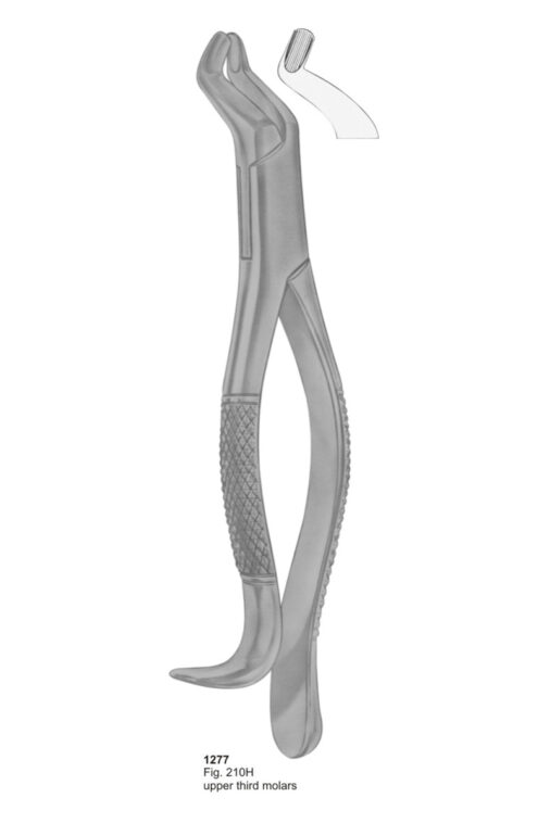 Upper Third Molars