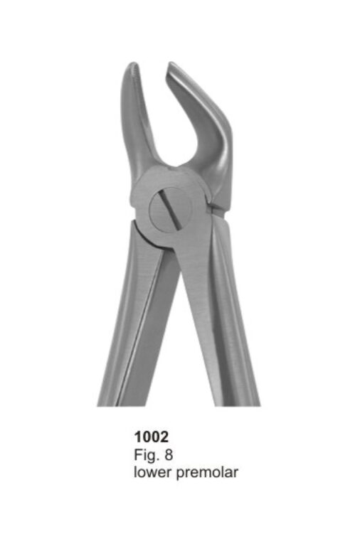 Lower Premolars - Image 3