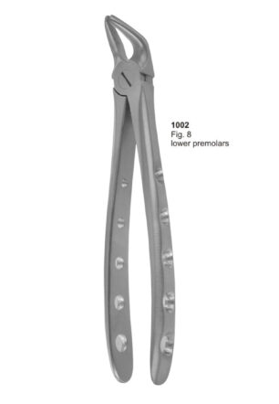 Lower Premolars