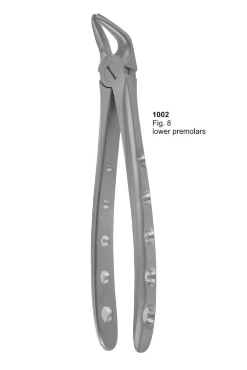 Lower Premolars