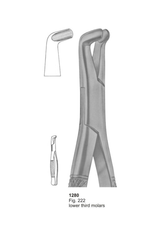 Lower Third Molars