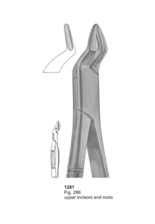 Upper Incisors and Roots