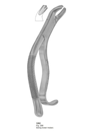 Swing Lower Molars