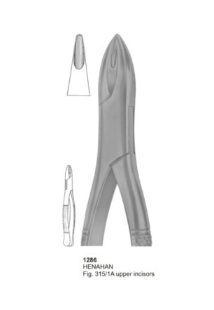 HENAHAN, Upper Incisors