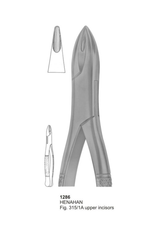 HENAHAN, Upper Incisors