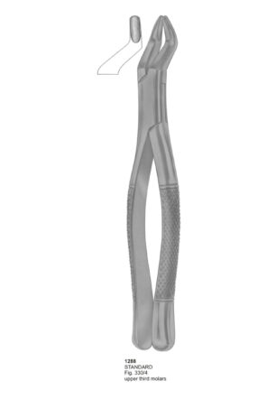 STANDARD, Upper Third Molars