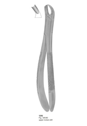 Upper Molars Left