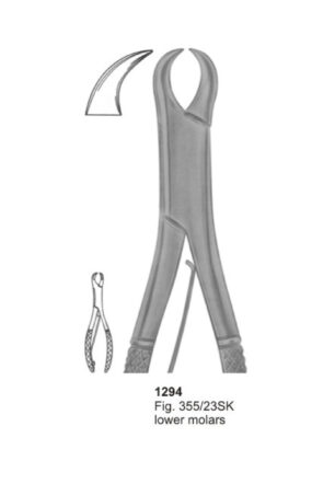 Lower Molars