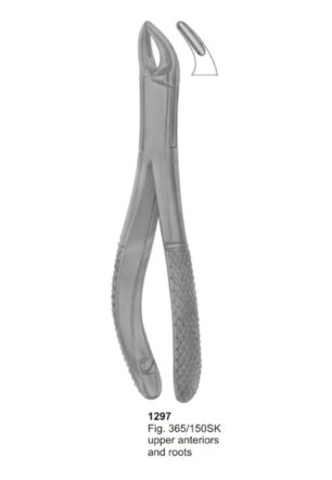 Upper Anteriors and Roots