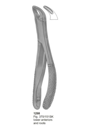 Lower Anteriors and Roots