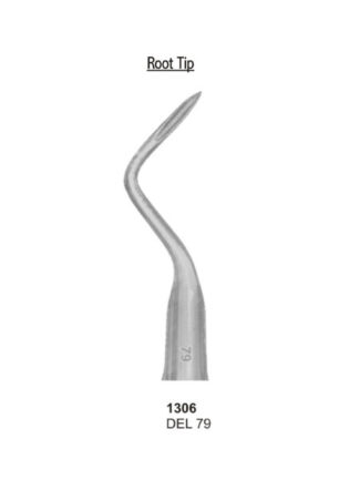 Root Tip, DEL 79