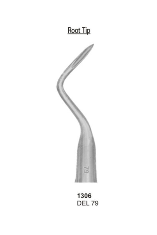 Root Tip, DEL 79