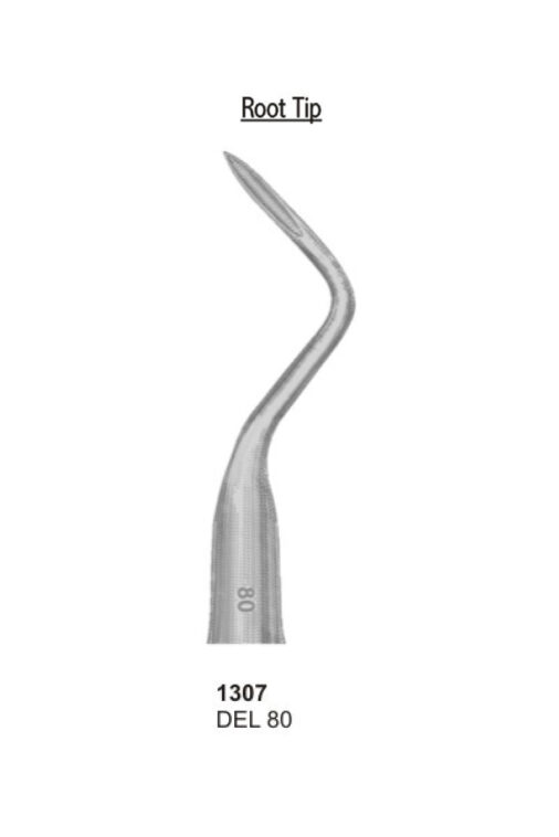 Root Tip, DEL 80