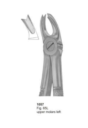 Upper Molars Left
