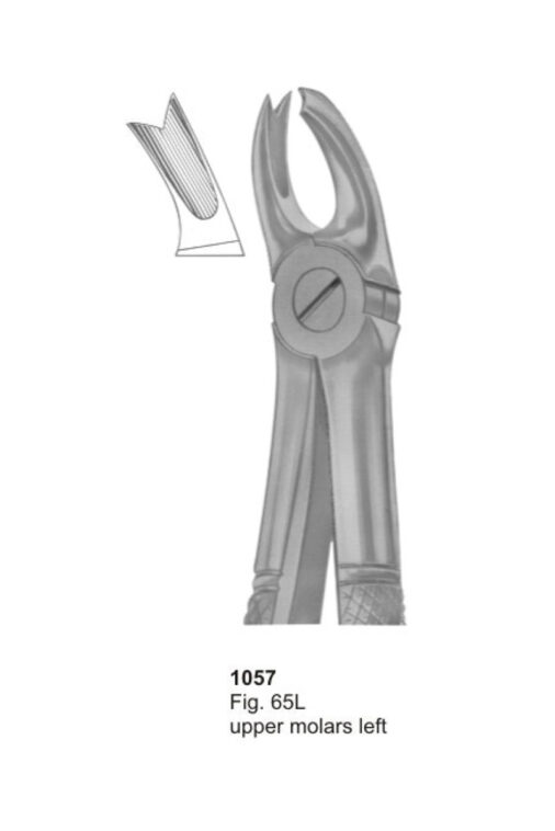 Upper Molars Left