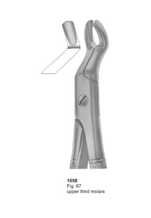 Upper Third Molars