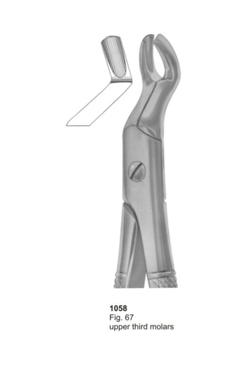 Upper Third Molars