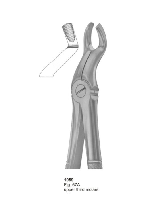 Upper Third Molars