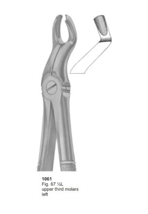 Upper Third Molars Left