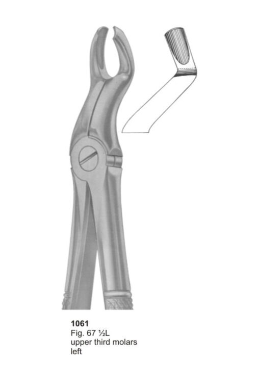 Upper Third Molars Left
