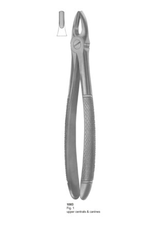 Upper Centrals & Canines