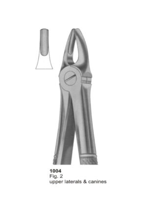 Upper Laterals & Canines