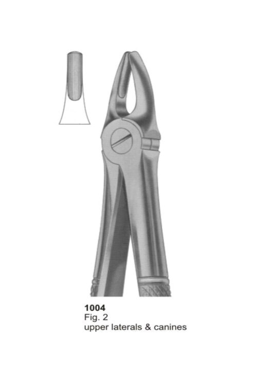 Upper Laterals & Canines