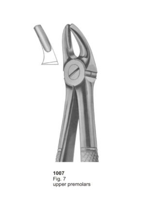 Upper Premolars
