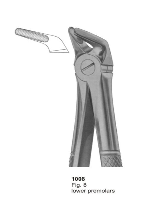 Lower Premolars