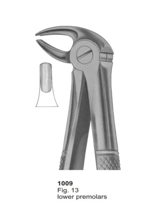 Lower Premolars