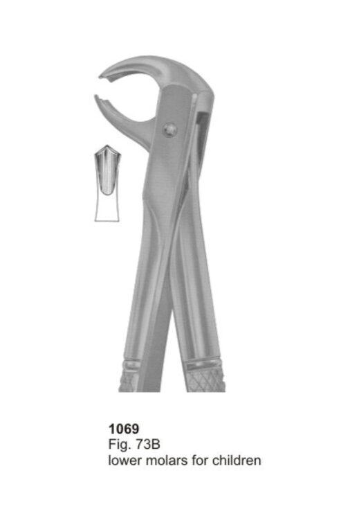 Lower Molars for Children