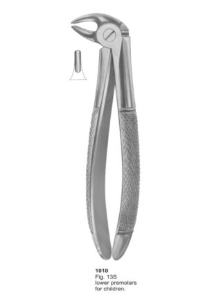 Lower Premolars For Childern