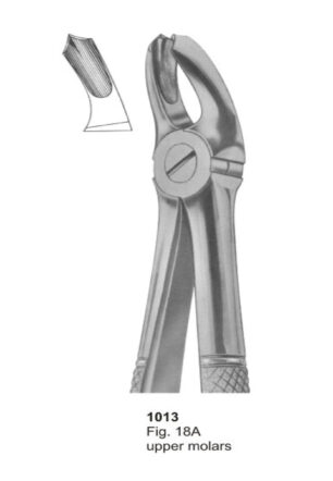 Upper Molars