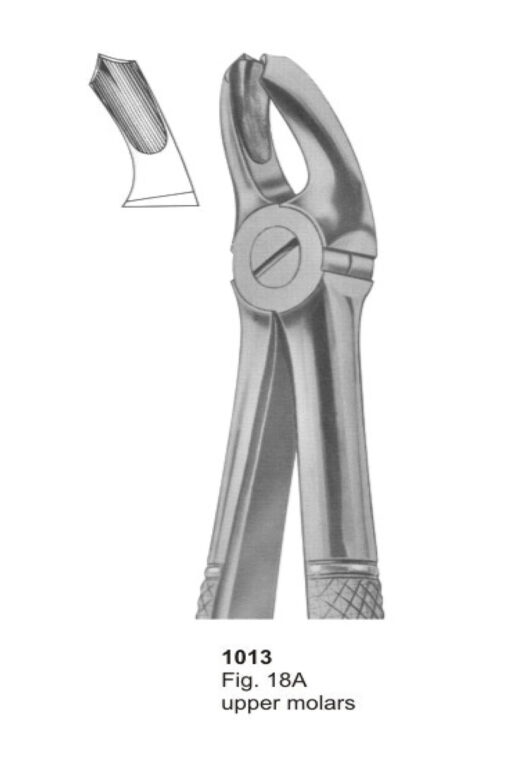 Upper Molars