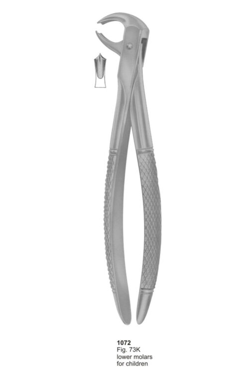 Lower Molars for Children