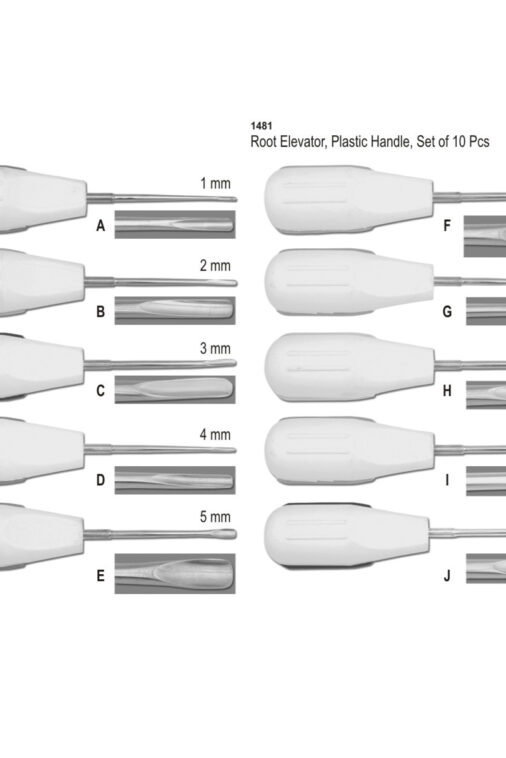 Root Elevator, Plastic Handle, Set of 10 Pcs