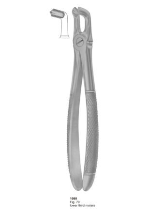 Lower Third Molars