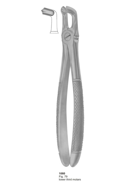Lower Third Molars