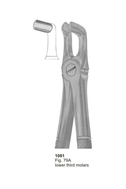Lower Third Molars