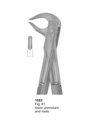 Lower Premolars and Roots