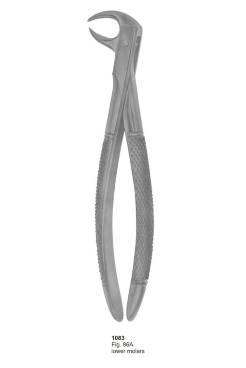 Lower Molars